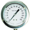 Master/Test Gauge